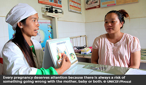 A female health worker uses a flip chart during a consultation with a pregnant woman, Cambodia
