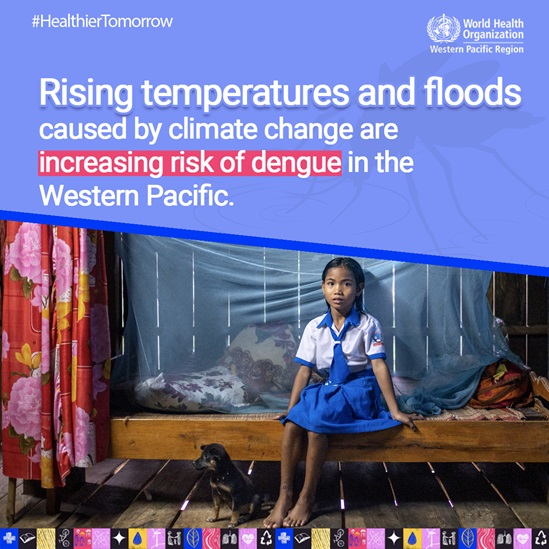 A young girl sits in her bed under a mosquito net with her puppy